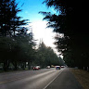 Meet your Posher, Young